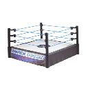 WWE Superstar Ring