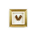 Cast In Time Premium Home Casting Kit Gold Frame