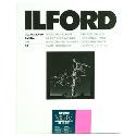 Ilford MG4RC1M 20.3x25.4cm 50 sheets 1770339 Ilford MG4RC1M 20.3x25.4cm 50 sheets 1770339